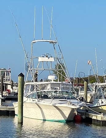 Sea Ray Amberjack 310, 310, for sale - $40,600